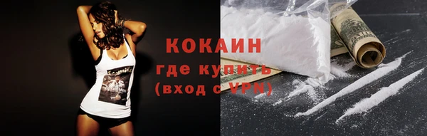 прущие грибы Балабаново