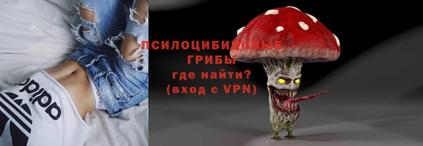 прущие грибы Балабаново