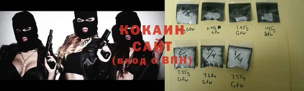 прущие грибы Балабаново