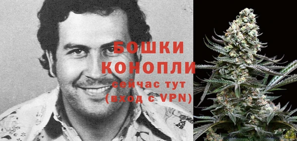 крисы Балахна