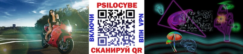 Купить где  Магас  Псилоцибиновые грибы мицелий 