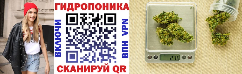 Бошки Шишки White Widow  Купить закладки  Магас 